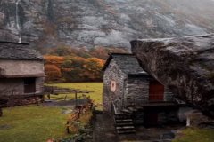 相信通过全体的努